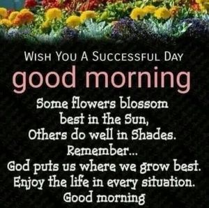 Meet your Posher, June